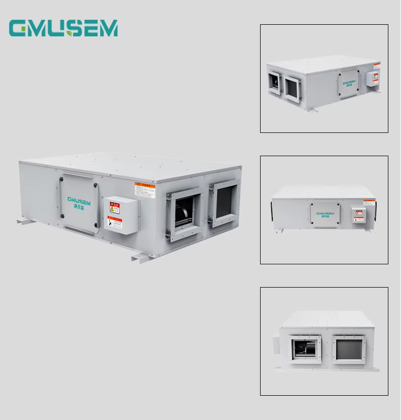 1772591559697148.jpg 1 (370).jpg